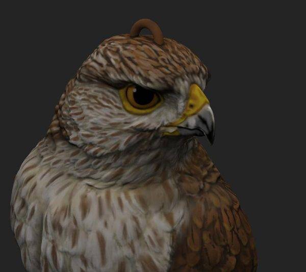 Painted Hawk Render